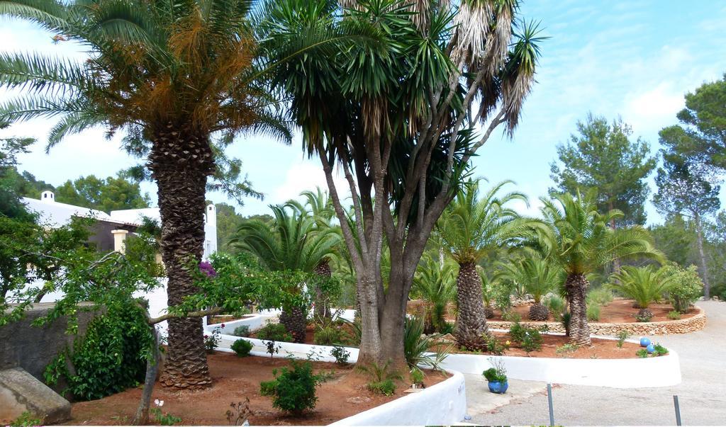 Hacienda Encanto Del Rio Playa DPlaya Des Figueral Екстериор снимка